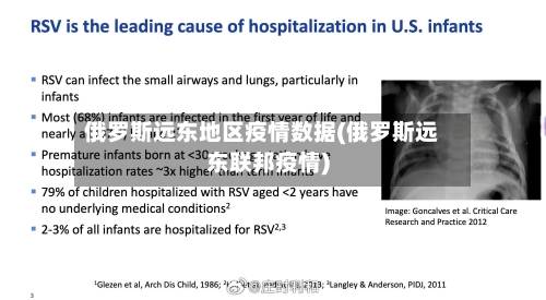 俄罗斯远东地区疫情数据(俄罗斯远东联邦疫情)-第2张图片
