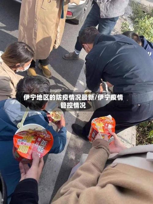 伊宁地区的防疫情况最新/伊宁疫情管控情况-第2张图片