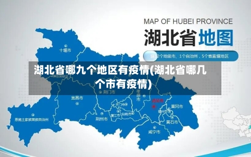 湖北省哪九个地区有疫情(湖北省哪几个市有疫情)-第2张图片