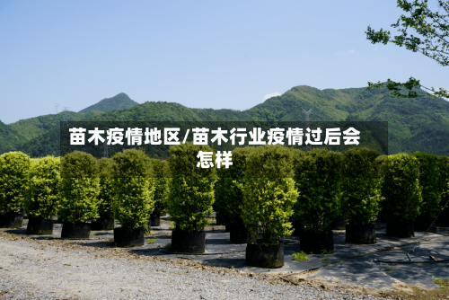 苗木疫情地区/苗木行业疫情过后会怎样-第3张图片