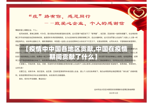 【疫情中中国各地区贡献,中国在疫情期间贡献了什么】