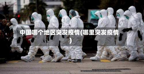 中国哪个地区突发疫情(哪里突发疫情)
