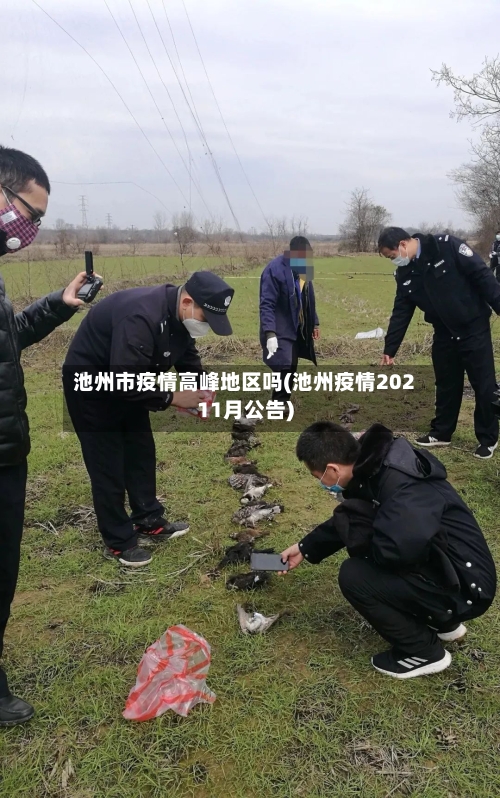 池州市疫情高峰地区吗(池州疫情20211月公告)