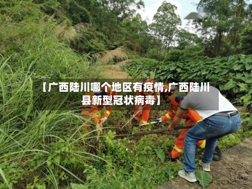 【广西陆川哪个地区有疫情,广西陆川县新型冠状病毒】