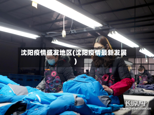 沈阳疫情盛发地区(沈阳疫情最新发展)